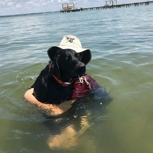 Meet your Posher, Graham